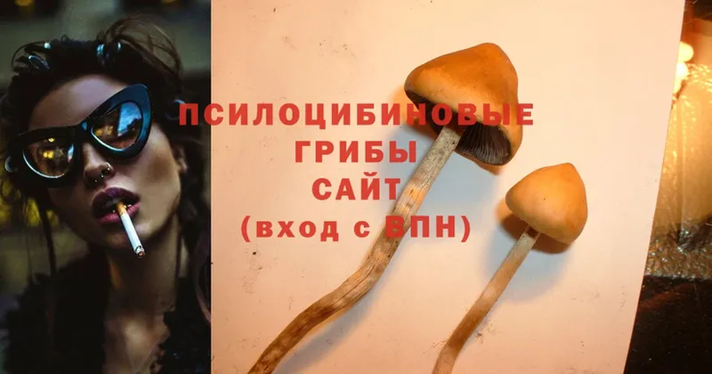 Галлюциногенные грибы MAGIC MUSHROOMS  как найти закладки  Ак-Довурак 